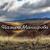 Онытмаган - Альфина Азхамова