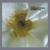 Sun Wind Darkness Eye - ELEH