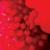 Weekend - Broncho