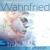 Global Midication - Klaus Schulze's Wahnfried