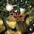 246 - Cellar Roots