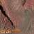 Fly On Mars - Thomas Rossetti