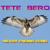 Never Ending Song - Tete Bero