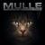 Fieber - Mulle