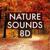 Background Talking White Noise - Nature Sounds 8D