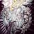 Paperback Book - Split Prophets
