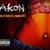 Trouble Nobody - AKON