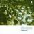 Glory Box - Portishead