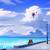 Frozen - Lofi Fruits Music
