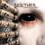 Given - Seether