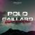 Polo Gaillard - Gaylord D'or Diam