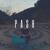 Blue Butterflies - Pash