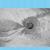 Falls 2 - Four Tet