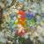 Teenage Birdsong - Four Tet