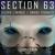 Silver Linings - Section 63