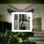 Recognize - Zadig The Jasp