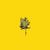 Yellowknife - Conner Youngblood