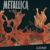 Thorn Within - Metallica