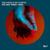 The Only Thing I Need - Timo Higgs