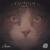 Imagination - Nico Stojan