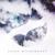 Mirrors - Jason Richardson