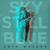 Way Too Far - Seth Walker