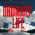 Ordinary Life - Imanbek