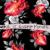 She Is Every Minute - Brian Ferris