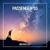 Wimmis - Passenger 10
