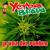 El Marginal - Yerba Brava