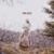 Fancy - Tina Dico