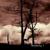 This Longing Silence - Lost In Desolation
