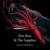 Love Like Dark Matter - Pete Ross & The Sapphire