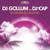 Summer Is Calling - DJ Gollum