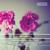 Grand Sonata for Fortepiano and Flute Obbligato, Op. 83, No. 1: I. Allegro con fuoco - Mika Putterman