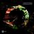Acid Rollercoaster - Dinant van Tongeren