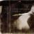 Hutchings: Tomorrow - Sophie Hutchings