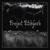 Gravity Waves - Project Pitchfork