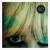 Trees and Flowers - Dum Dum Girls