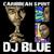 Bad Gal Wine - DJ Blue