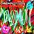 toxin - benedixhion