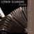 Reggae tango - Athos Bassissi