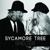 Home - Sycamore Tree