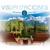 Introducion - Fernan Birdy