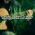 Fantasy - Bossa Nova Lounge Orchestra