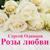 Белые ромашки - Сергей Одинцов