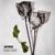 Black Rose - ZetRix