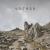 Forrest: The Sun never says - VOCES8