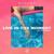 Live in The Moment - Gayana
