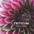 Falling - Triticum